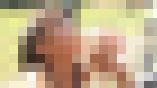 はるいろのおひさま Vol.23 後編 サンプル画像05