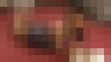 はるいろのおひさま vol.40 さとこちゃん サンプル画像05