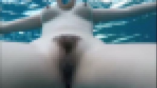 SEXはアウトドアで #004 サンプル画像3