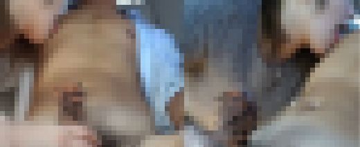 現役デリのシンママ、車内フェラでゴックン　サンプル画像2