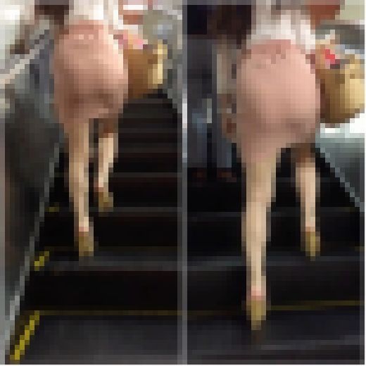 ロン爺の４Ｋピタパン女529　エロボディギャル　サンプル画像1