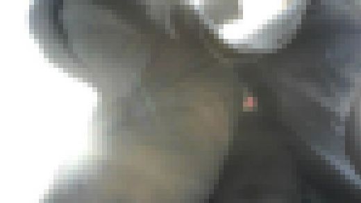 【働くお姉さん改3】黒スト白P サンプル画像3