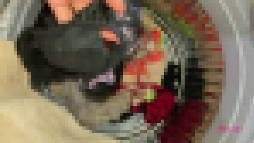 【盗撮】実家の洗濯機の中（妹の下着・染みパン）をチェック？　サンプル画像1