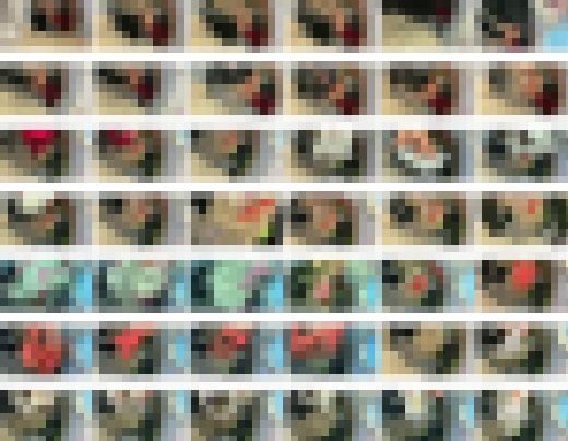 【盗撮】実家の洗濯機の中（妹の下着・染みパン）をチェック？　サンプル画像3