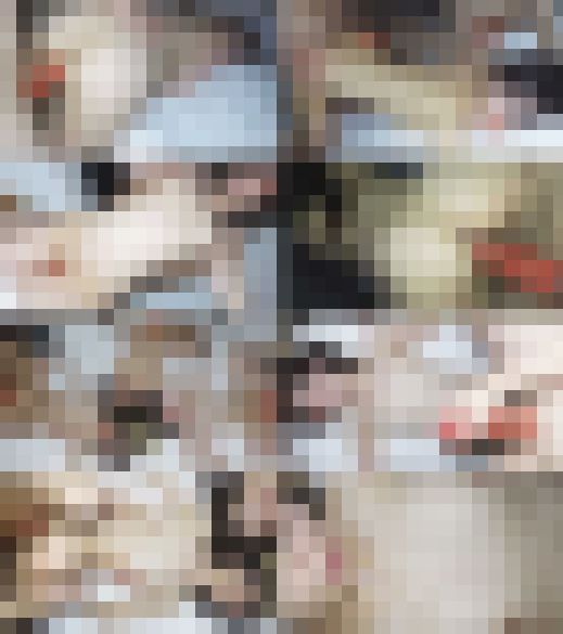 【すい◎んカン】【特典3本】大手インカレイベントサークルBBQ／K大文学部仏文科女子大生3名③【高画質】　サンプル画像2