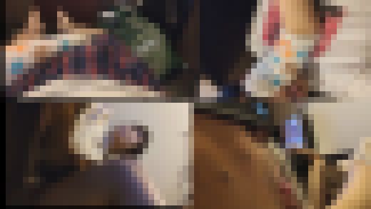 清純女子大生とネットカフェでキスしたりフェ〇してもらったりきすしたり思う存分イチャイチャ足フェチプレイVOL2　サンプル画像1