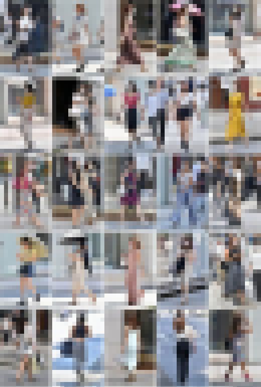 DS画像 202201版 サンプル画像1