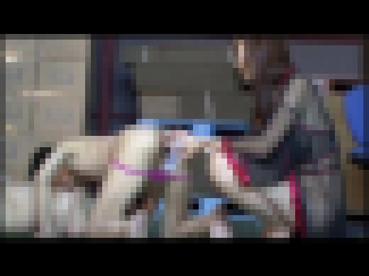 【PP】アンタレスの女 S女による完全M男調教 #049 ANTS-002-14 サンプル画像3