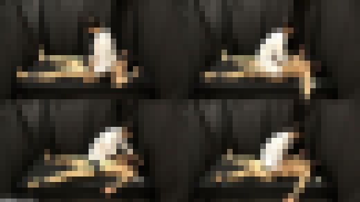 女王様くすぐり伝説 まひろ女王様 仰向けで意識朦朧になるまでくすぐられる【シーン1】 サンプル画像1