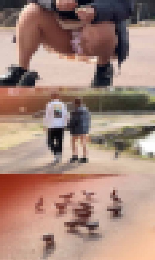 【パンチラ盗撮】幼い残る女子のパンツと飛び立つ鳩。イチャつくカップルの餌やり一部始終 サンプル画像3