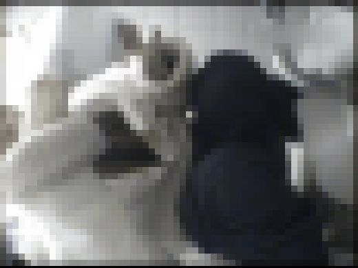 【ジャネス】世○谷ファッションビルトイレ**** #013 DBAQ-004-13　サンプル画像2