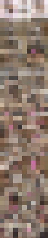 【お得3本セット】怒!あどけないからW中出し決定!仲良し同級生二人組美少女の子宮直撃!マン汁精子入り乱れドロドロ大乱交映像 サンプル画像1