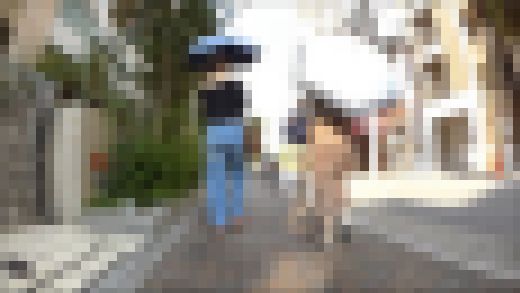 D-38 かさじり 傘尻 日傘をさした美女 サンプル画像3