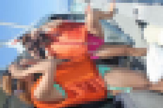 マリンレジャー342C　サンプル画像1