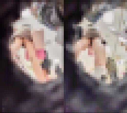 【超特価・500円】顔出し！！アイドル顔負け★★黒髪ロングのゲキカワ娘★★えろい下半身に食い込むパンツ★★他おまけ娘付き　サンプル画像2