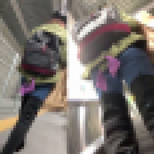 ピタパン散策35 サンプル画像2