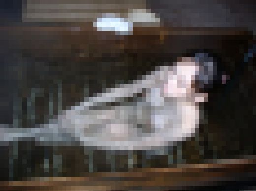 湯けむり巨乳旅 はるか2 サンプル画像1