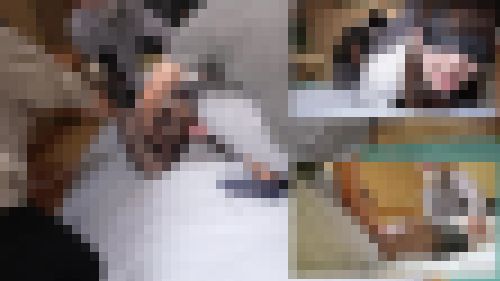 筋肉痛必至！　動き回り暴れまくり、でも逃れられないお姉さんを全力責め（完全オリジナル）　サンプル画像2