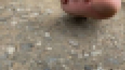 【完全裸足】第23弾！春の公園を裸足で歩く女性　サンプル画像2