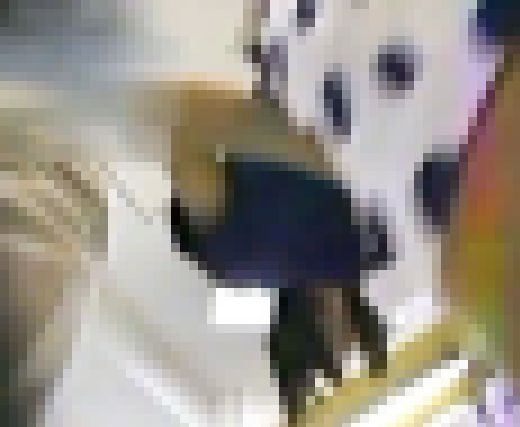 【お宝放出！待望の動画第27弾】ハンディカムアーカイブ！羨望の某グローバルメーカー・ギャラリーコンパニオンさん☆（MF-V019　サンプル画像1