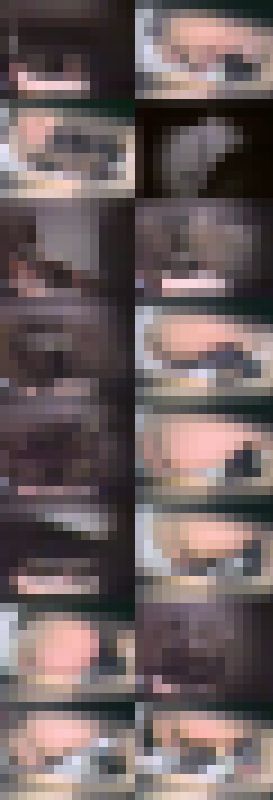 Vol.2 初公開トイレ女子便所で脱ぎ履き排泄オシッコ小便,排尿専門 サンプル画像3