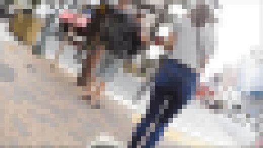 D-51 ゼブラ濃いデニじり　サンプル画像2