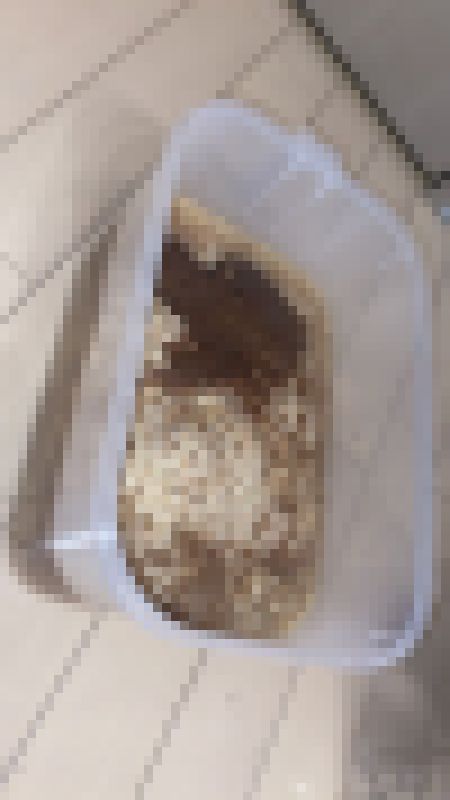 【号泣】丸呑みしたラーメンを透明タッパーに吐いたよ！音声あり　サンプル画像2