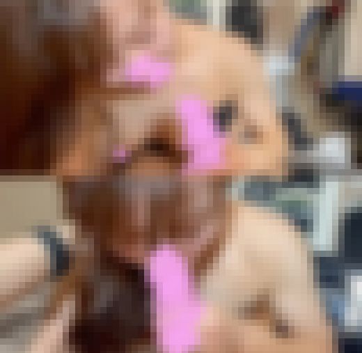【NTR報告Vol.28】快楽だけを求める嫁ちゃんのイキまくりセックス(オナ/社員宅でハメ撮り)　サンプル画像2