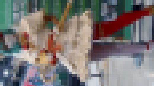 (※07/06(木)まで限定公開) キャンギャル動画1284　サンプル画像2