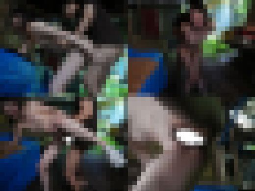 【すい●かん】スポーツウェアが似合う陸上部2006年.生、ツケマワシ隠撮/練習中こんすいレ●プ/無理矢理合意生ハメ中出し【個撮】 サンプル画像3