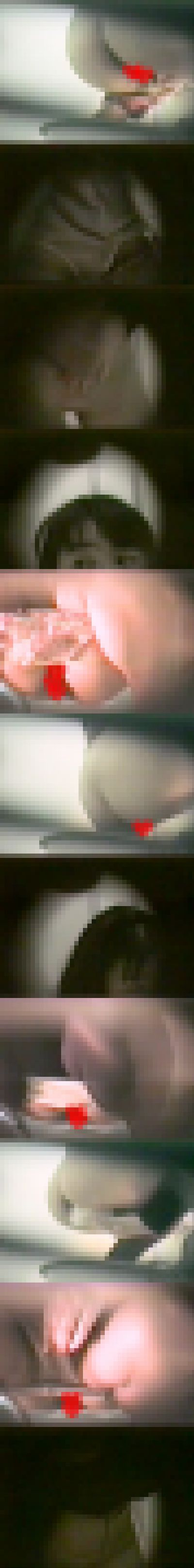 Vol.8 和式・洋式トイレ女子便所で脱ぎ履き排泄,小便うんこ大便　サンプル画像1