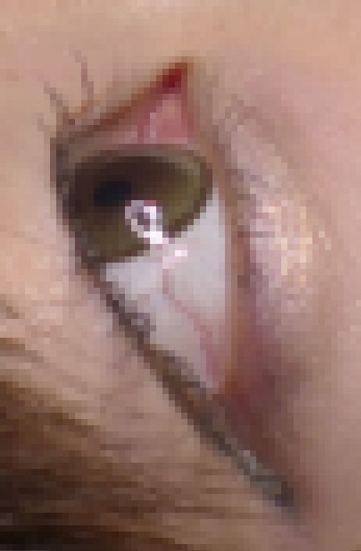 個人撮影☆接写！美女の顔3　サンプル画像1