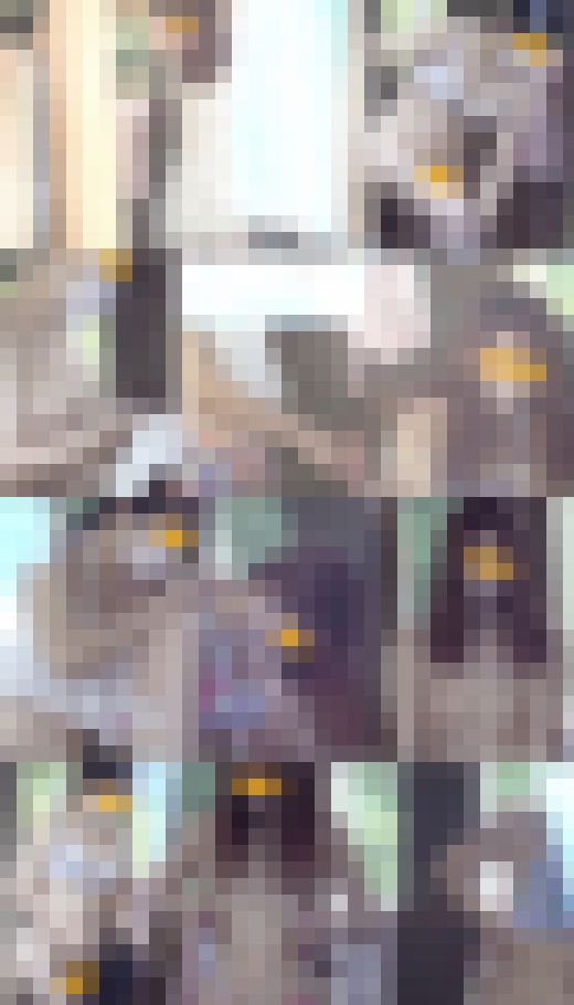 違うんです！勝手に脱ぎだしたんです！『無防備すぎる女子大生３名』大自然の中で丸出しお着替え　サンプル画像1
