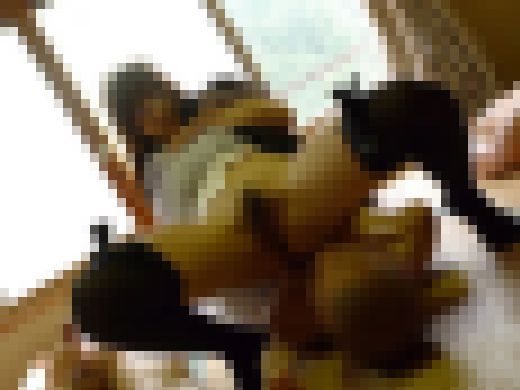 ◆素人投稿動画 フルハイビジョン(FHD)高画質 千葉県のOLさんは精子が大好き、抜きまくってぜんぶ飲んじゃいます 【Part.　サンプル画像3