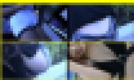 4046/「裏切り撮り・クィンちゃん危機一髪化作戦(26)」 サンプル画像1