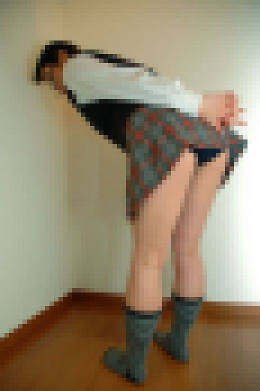 オリジナル画像集　SHIINA 14（再販）　サンプル画像1