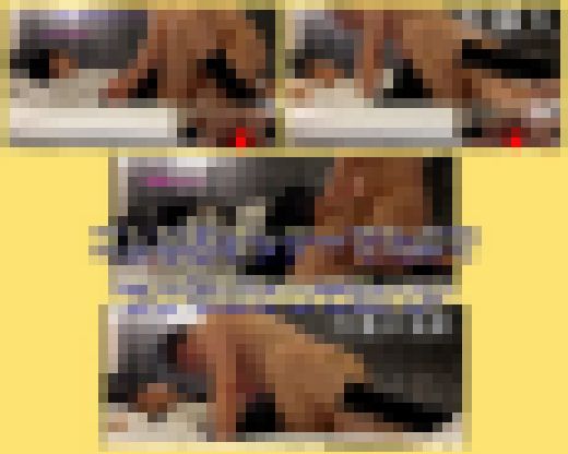 【危険作5リマスター版後編】ダメダメ言いながら気持ちよくなり挿入されるとカニばさみしながら抱き着く超美形Kちゃん　サンプル画像3