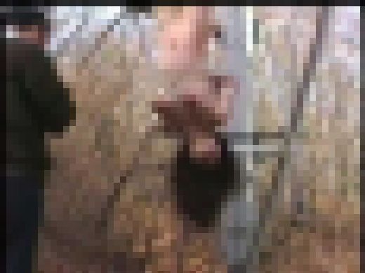 志摩紫光　人妻マゾ被虐　Part 2　サンプル画像1