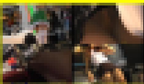 4546／「偽装撮り・キャンちゃん私家盤コレクション（10）」　サンプル画像1