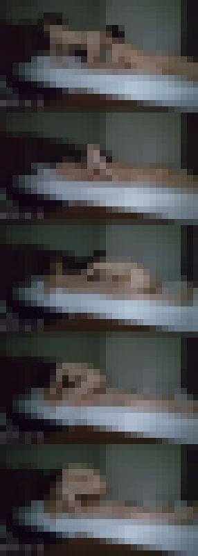 【盗◯風動画】Fカップ逆生挿入　マニアに刺さって欲しい動画【サンプルご確認ください】　サンプル画像1