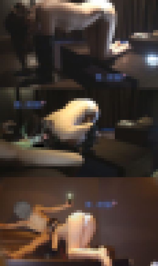 【完全俯瞰ver】犬の首輪　実録　姫顔　犬化手袋　タワマンガール　子育ての癒しにセフレが欲しくて【生々しいガチ映像】ほぼノーカッ　サンプル画像2