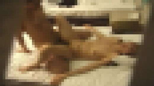 欲求不満の寝とられ妻盗撮!File.1 サンプル画像2
