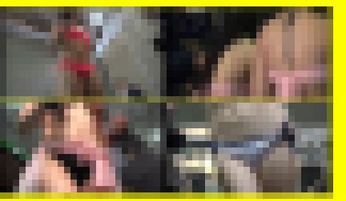 4674/「嬲(なぶ)り撮り・凍りついたキャンギャル(40)」 サンプル画像2