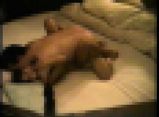 隠し撮りラブホカップルズ　26　盛盛豪開　Part 1　サンプル画像2