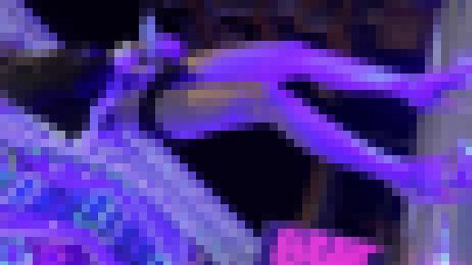 (※01/30(火)まで限定公開) キャンギャル動画2040　サンプル画像3