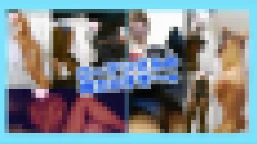 【おまとめ】人生で五本の指に入る超美○女ほぼジェイ系の脱衣場の○き♥高身長健康肌のアスリートお椀型オッパイJD1の脱　サンプル画像1