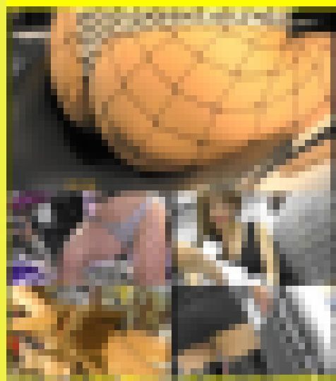 5932/「偽装撮り・キャンちゃん私押靏コレクション(87)」 サンプル画像1