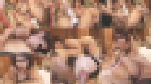 個撮◎H大好きDカップ美巨乳受付嬢がアヘ顔晒してガチ性交! サンプル画像2