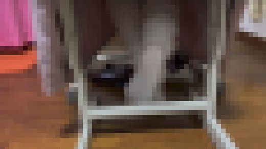 ルーズソックス　長編1　サンプル画像2