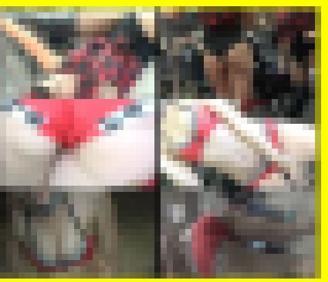 5289／「偽装撮り・キャンちゃん私押靏コレクション（65）～肉感篇」　サンプル画像2